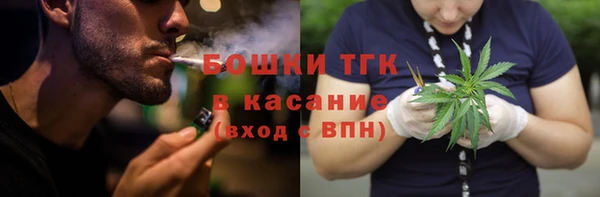 дживик Горнозаводск