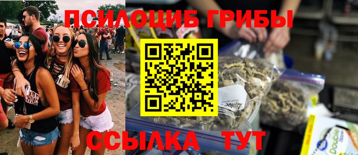 Стерлитамак  Галлюциногенные грибы Magic Shrooms  Галлюциногенные грибы GOLDEN TEACHER  купить  сайты  Вход с VPN 